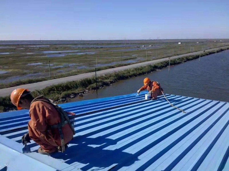 惠州彩钢瓦屋面防腐翻新